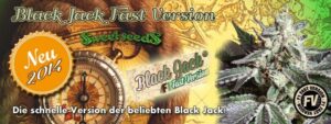 black-jack-fast-version-feminizovana-semena-5-ks-sweet-seeds-growshop-growmart