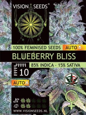 Vision Seeds - BLUEBERRY BLISS AUTO | Autoflowering cannabis seeds - Image 6