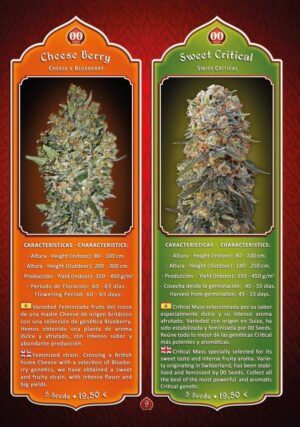 00 Seeds - Cheese Berry | Feminized cannabis seeds - Image 8