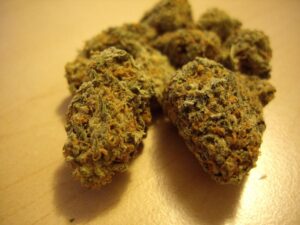 Himalaya Gold