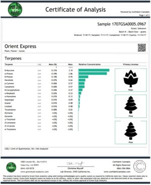 Levná semena nejlepšího konopí Orient Express