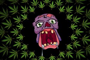 Levná semínka Ganji - BrainKiller Haze