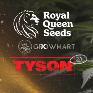 tyson_seminka_konopi