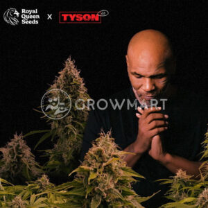 tyson_seminka_konopi