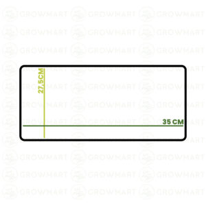 Royal_Queen_Seeds_Tray_XXL