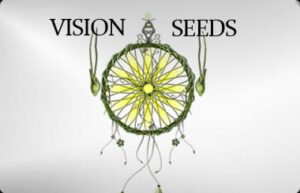 Vision Seeds - BONA DEA CBD + | Feminized hemp seeds - Image 2
