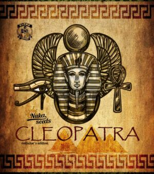 Cleopatra Nuka seeds semena marihuany