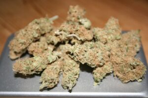 Sensi Seeds - Early Skunk Feminized | Feminized Cannabis Seeds - Image 6