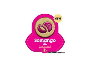 fem-somango-xl-growmart