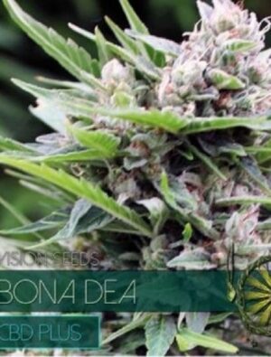 konopná semena Bona Dea CBD+