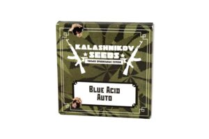 Konopné osivo Blue Acid Auto