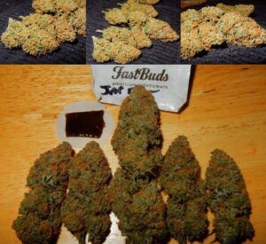 Léčivá marihuana West Coast OG