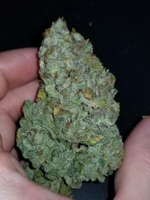 Levná semínka léčivého konopí - CBD Crack
