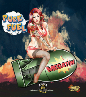 Nuka seeds - MEGATON | Feminized cannabis seeds - Image 10