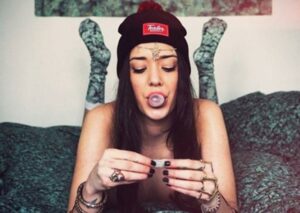 Nejnovější semena marihuany Malasana Cookies