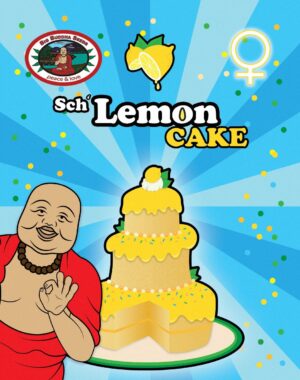 Nová semena travky Sch' Lemon Cake