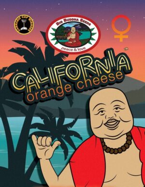 Novinka semena marihuany California Orange Cheese