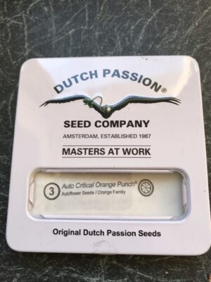 Parádní semínka trávy Critical Orange Punch