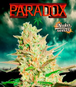 Paradox Nuka seeds semena konopi