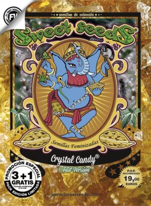 Perfektní konopná novinka Crystal Candy F1 Fast Version