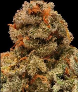 Regulérní semínka konopí Pineapple Haze