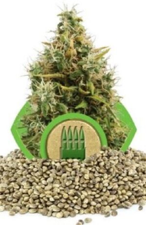 growmart-royal-ak-automatic
