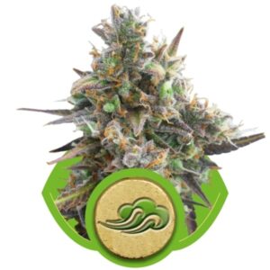 growmart-royal-bluematic