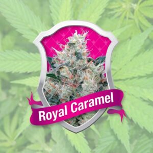 growmart-royal-caramel