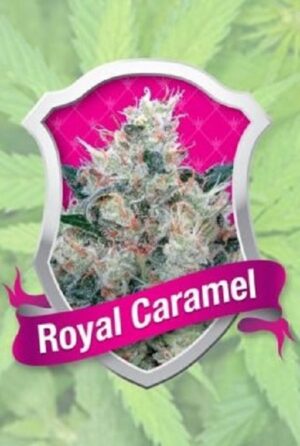 growmart-royal-caramel