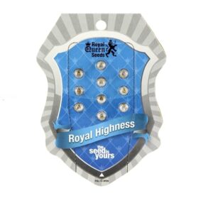 royal-highness-semena-growmart