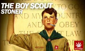 Semena extrémně silného konopí - Boy Scout Cookies