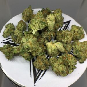Semena extrémně silného konopí - Boy Scout Cookies