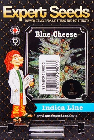 Semena konopí s excelentní chutí Expert Blue Cheese