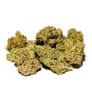 Semena léčivého konopí Cream Caramel CBD