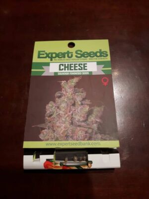 Semena marihuany s vůní sýra Expert Cheese
