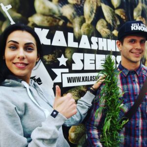 Semena nejsilnějšího konopí - Katyusha