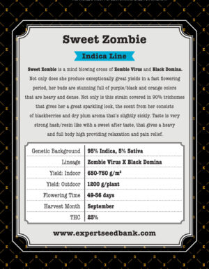 Semena velmi silné marihuany Sweet Zombie