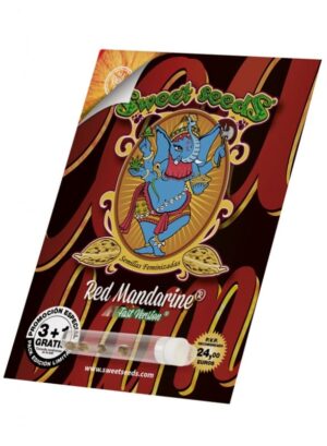 Semena vysoce aromatického konopí - Red Mandarine F1 Fast Version