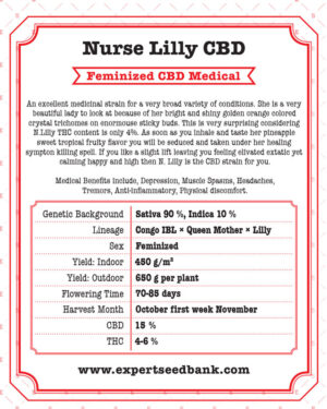 Semena zdravého konopí Nurse Lilly CBD