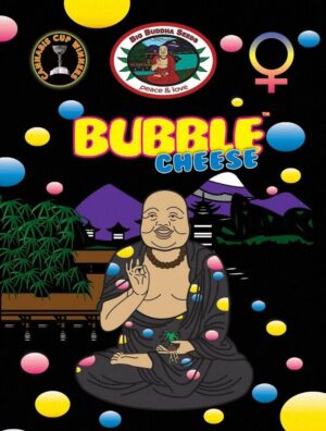 Semínka konopí s nezapomenutelnou chutí Bubble Cheese