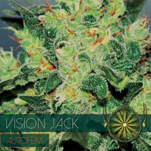 Semínka konopí za dobrou cenu - Vision Jack Auto