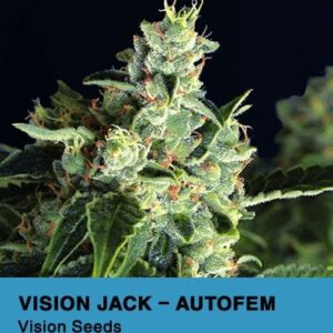 Semínka konopí za dobrou cenu - Vision Jack Auto