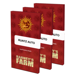 Semínka nového konopí Runtz Auto