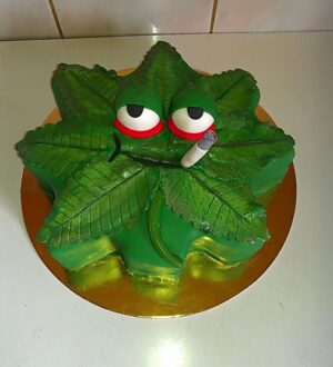 Semínka velmi lahodné marihuany Wedding Cake x Tripple OG