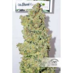 lecebna marihuana