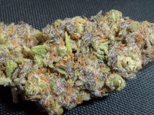 STRAWBERRY BLUE seminka 2