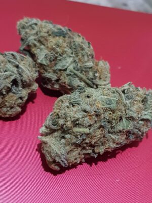 Super kvalitní semena marihany Chempie