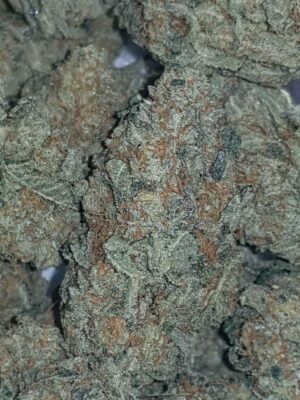 Super kvalitní semena marihany Chempie