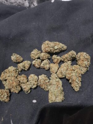 Super kvalitní semena marihany Chempie