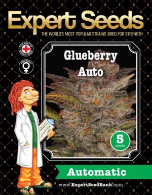 Super výnosná semena konopí Expert Glueberry
